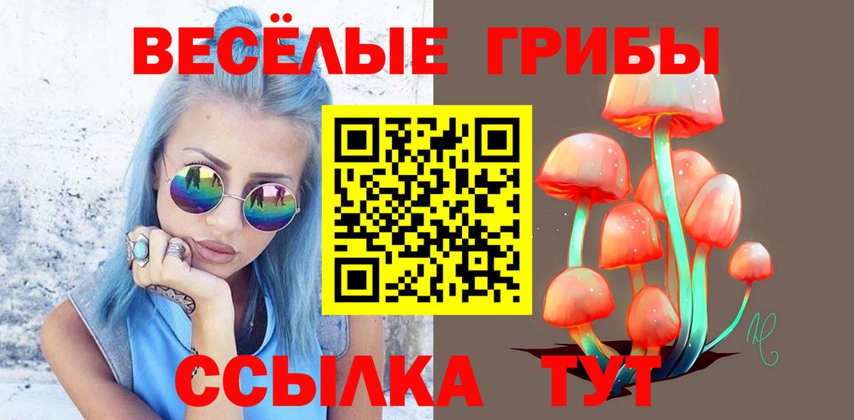 Псилоцибиновые грибы Psilocybe  Вход с VPN  Жуковский 