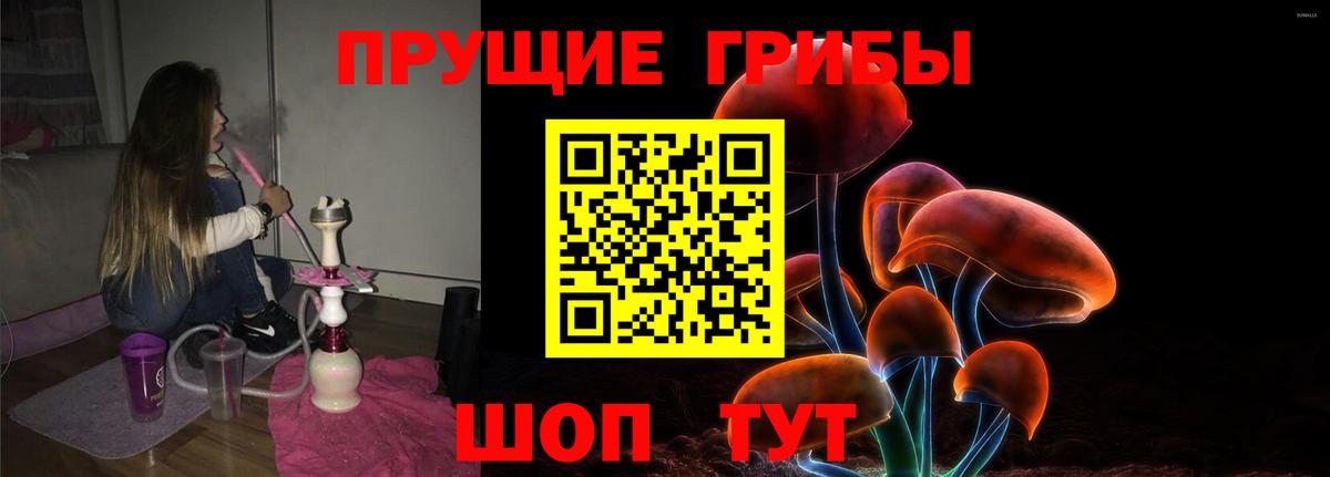 Галлюциногенные грибы GOLDEN TEACHER Жуковский